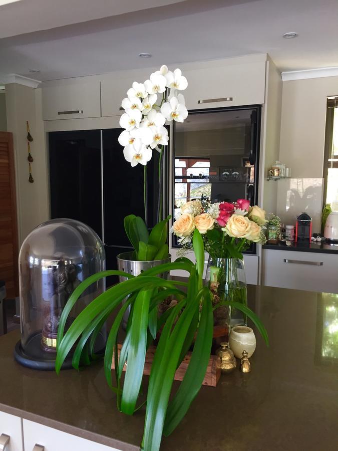 Protea Point Bed & Breakfast Cape Town Eksteriør bilde